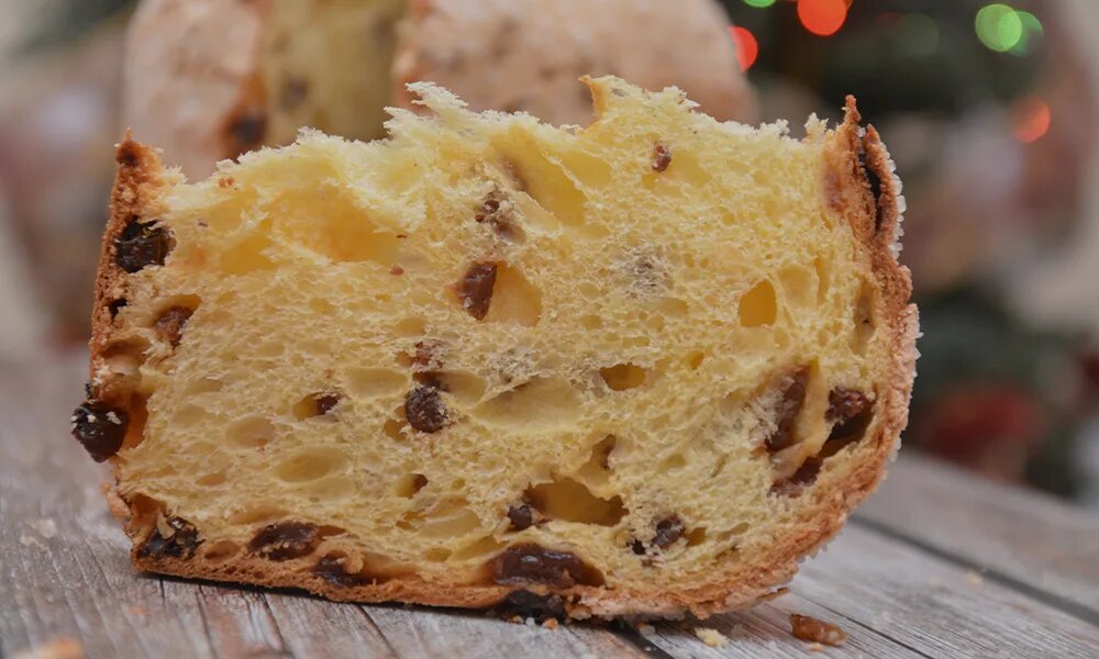 Our Panettoni